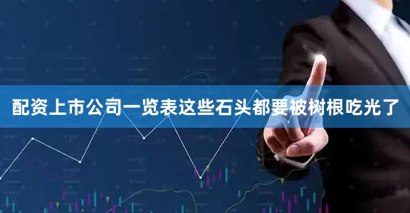 配资上市公司一览表这些石头都要被树根吃光了